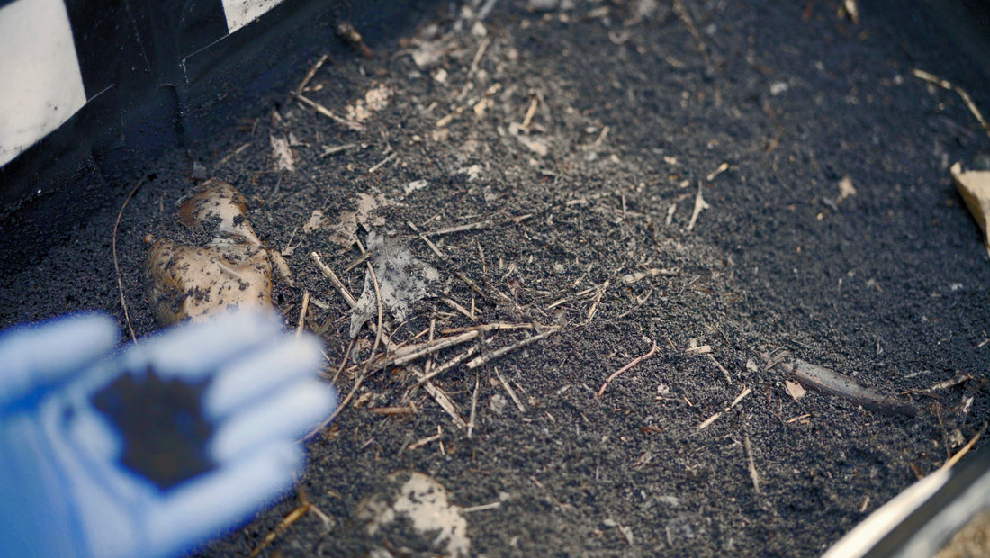 Becoming a Net-Zero Vermiculture, Composting, and Biochar R&D Facility in Dateland, AZ
